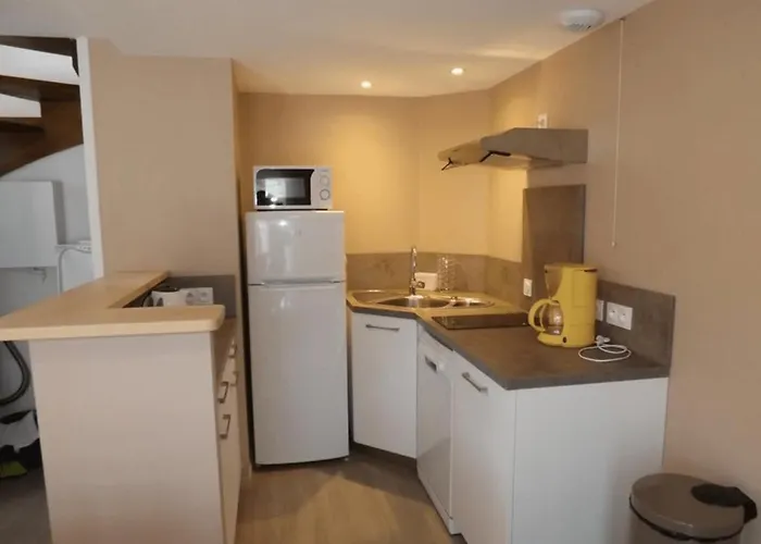 Apartamento 5 En Auvergne Au Puy Mary Avec Activites De Plein Air Le Claux